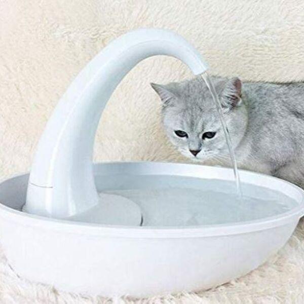 Bebedouro para Gatos Premium