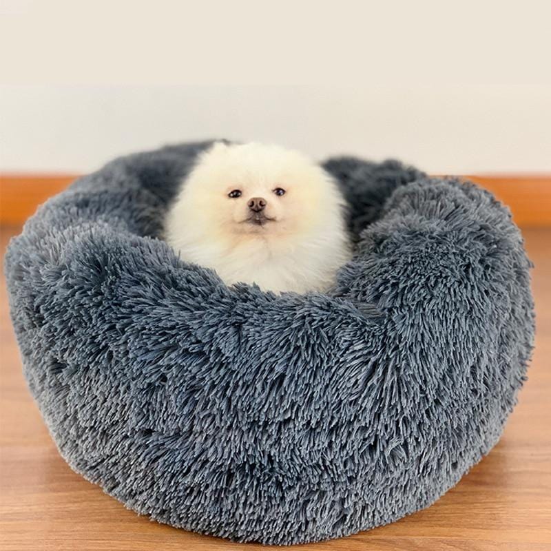 Cama Nuvem Pet - Sucesso de Vendas