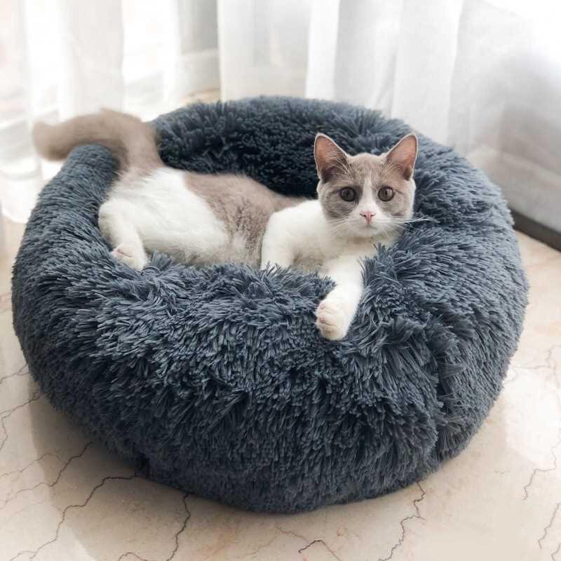 Cama Nuvem Pet - Sucesso de Vendas