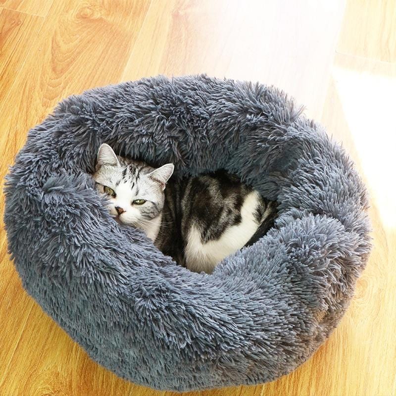 Cama Nuvem Pet - Sucesso de Vendas