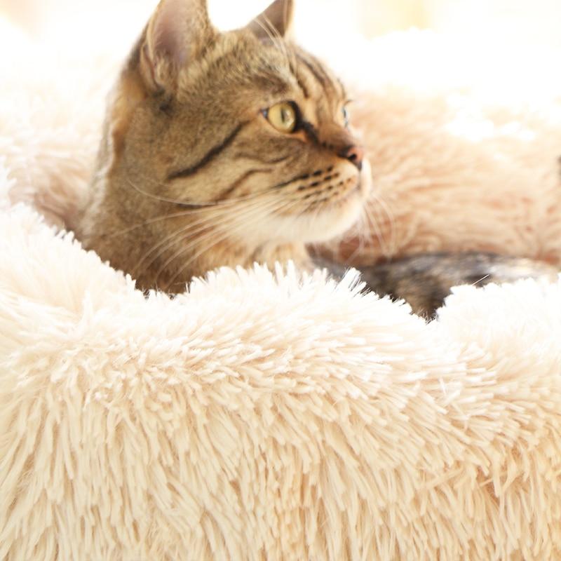 Cama Nuvem Pet - Sucesso de Vendas