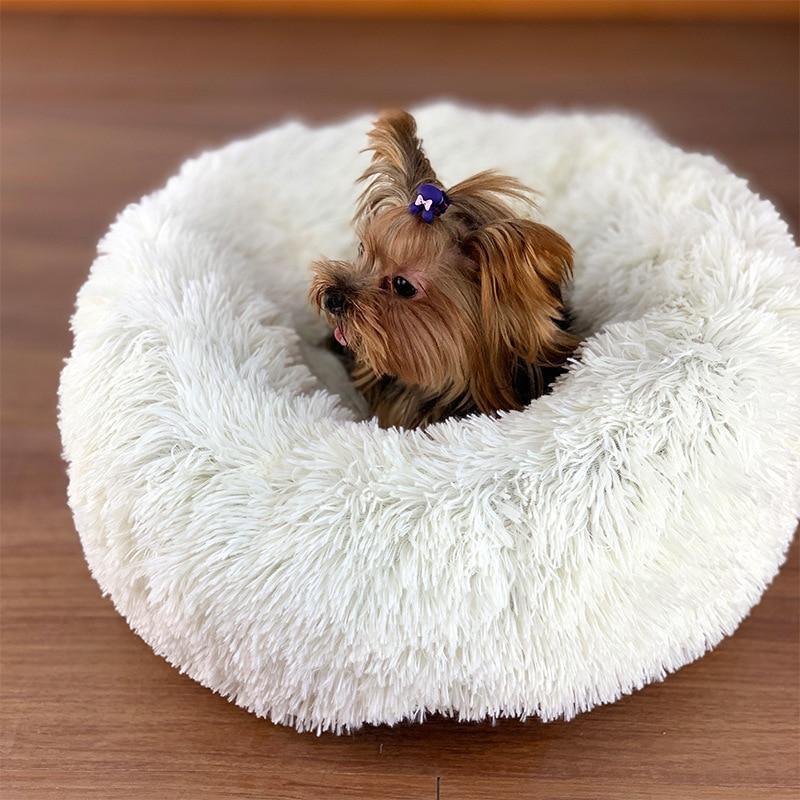 Cama Nuvem Pet - Sucesso de Vendas